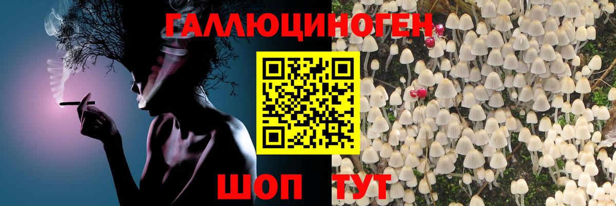 Галлюциногенные грибы GOLDEN TEACHER  Галлюциногенные грибы Magic Shrooms  Узловая  где найти наркотики  Вход с VPN 