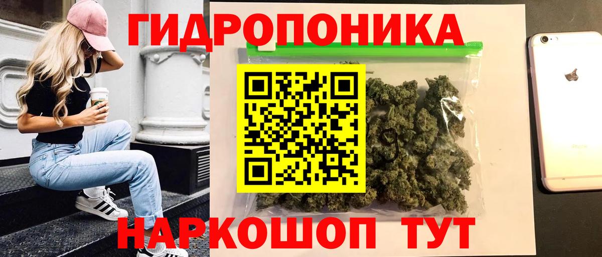 Каннабис Ganja Узловая